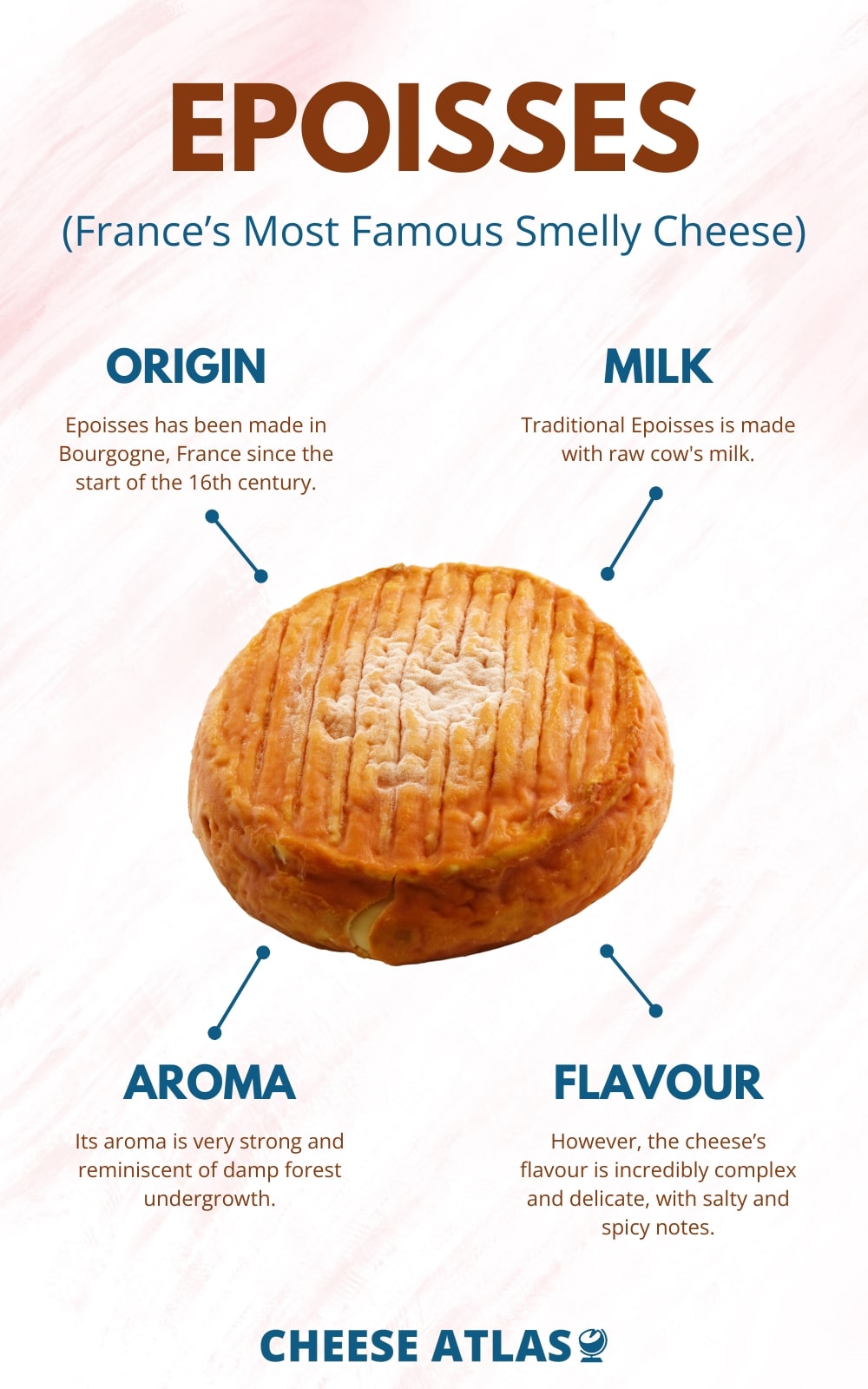 Epoisses de Bourgogne France’s Most Famous Smelly Cheese